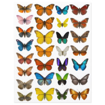 Aquarell-Schmetterling-Set für fusseligen Schnitt