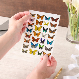 Aquarell-Schmetterling-Set für fusseliges Schneide
