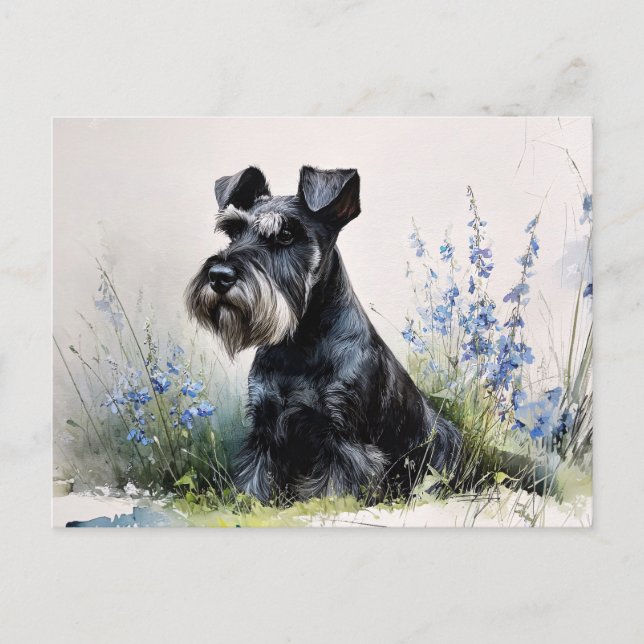 Aquarell-Schnauzer Postkarte (Vorderseite)