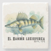 Aquarell-Serie: Zander/Walleye