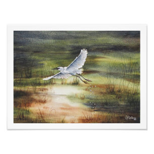 Aquarell Silberreiher Fotodruck