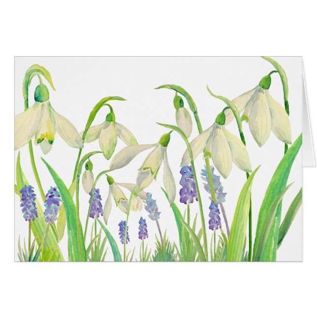 Aquarell Snowdrops und Muscari (Vorderseite (Horizontal))