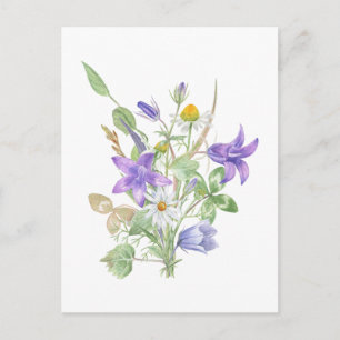 Aquarell-Sommerblumen  Postkarte