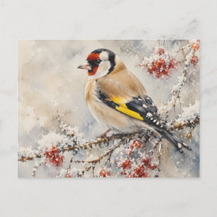Aquarell Stieglitz auf Winterbeeren Postkarte