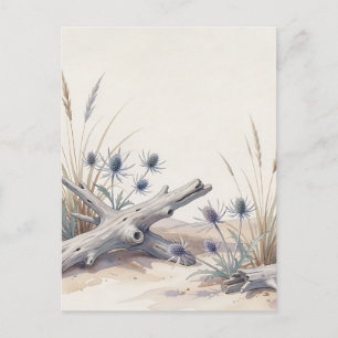 Aquarell Strand-Treibholz Strand-Holly-Strand Postkarte