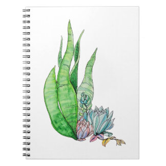 Aquarell Sukkulenten Botanische Grünpflanzen Notizblock