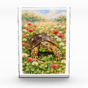 Aquarell Sulcata-Landschildkröte mit Glücksklee Fotoblock