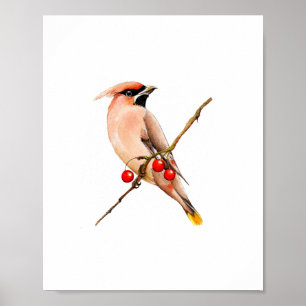Aquarell-Wacholderdrossel-Vogel-Malerei Poster