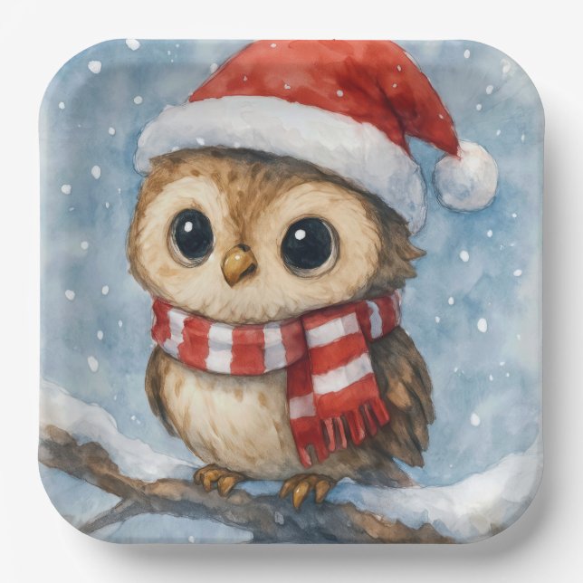 Aquarell-Weihnachts-Eule in Schneeflocken Pappteller (Vorderseite)