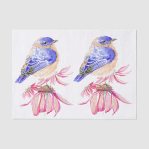 Aquarell Western Bluebird Blau Vogel Kunst für die Seidenpapier
