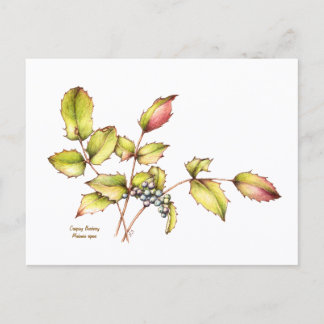 Aquarell-Wildblumen-Berberitzen-Postkarte Postkarte