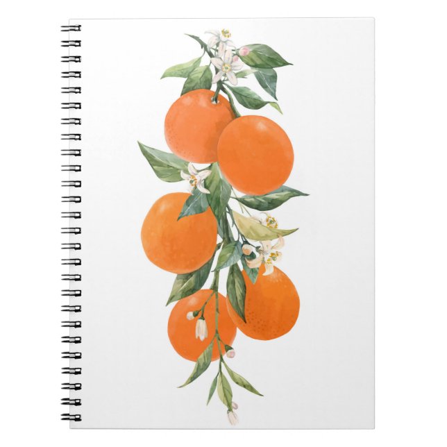 Aquarell-Zitrusfrüchte Orange Zitrone Notizblock (Vorderseite)