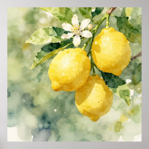Aquarell-Zweig mit Zitronen Botanische Sommerdarst Poster