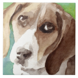 Aquarellbild Beagle Portrait Fliese