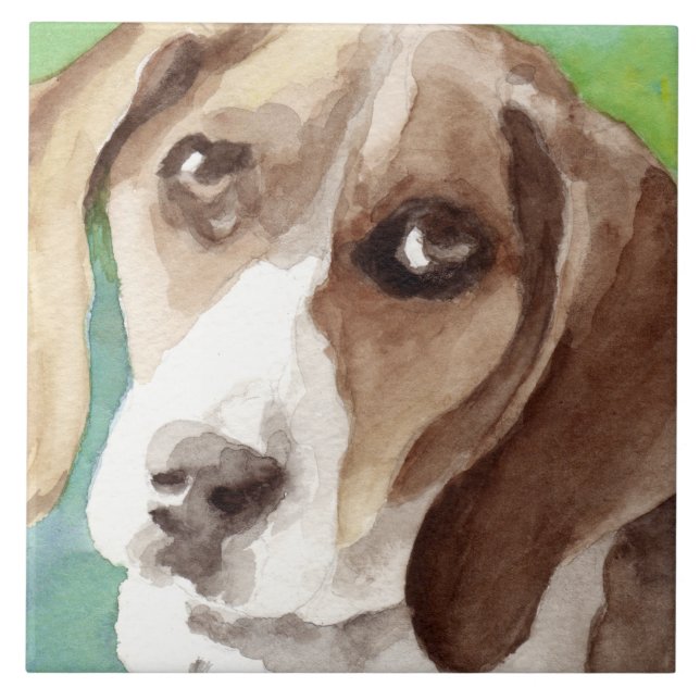 Aquarellbild Beagle Portrait Fliese (Vorderseite)