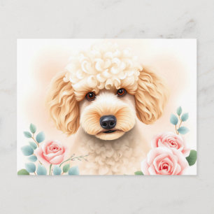 Aquarellbild eines flauschigen Beige Poodle Postkarte