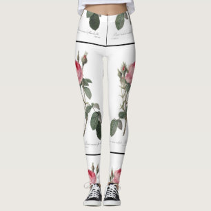 Aquarellbild mit blassen, rosafarbenen, alten Rose Leggings