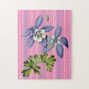 Aquarellblumen Rätsel Columbine Puzzle