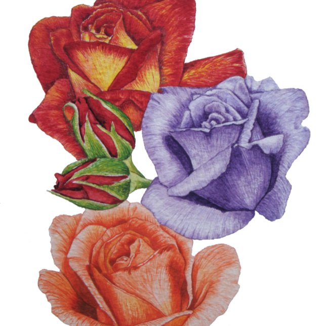 Aquarellblumen und Blütenknospen Blütendecke Kissen (Von Creator hochgeladen)