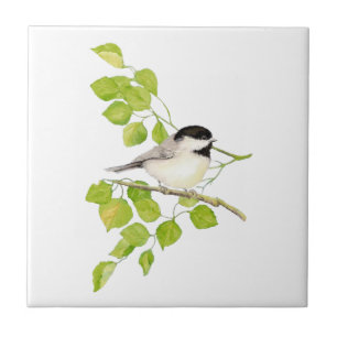 Aquarellchickadee-Pappel-Baum-Kunst Fliese