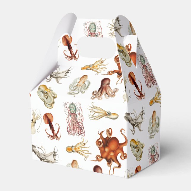 Aquareller Cephalopod Geschenkschachtel (Vorderseite)