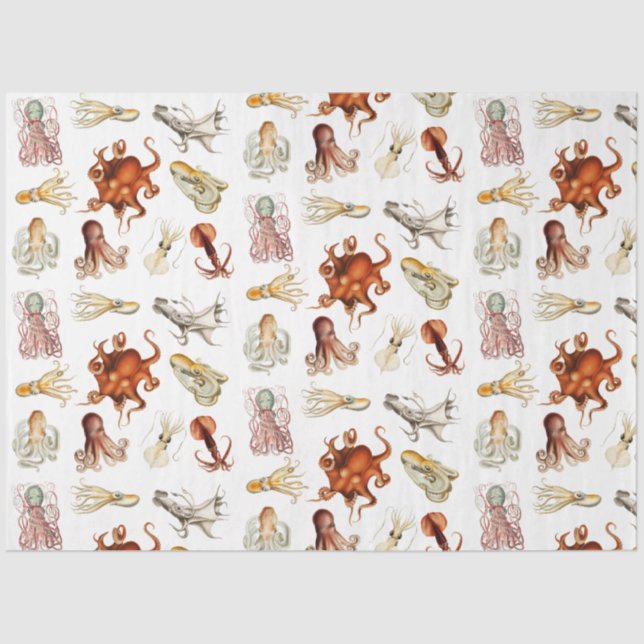 Aquareller Cephalopod Seidenpapier (Vorderseite)