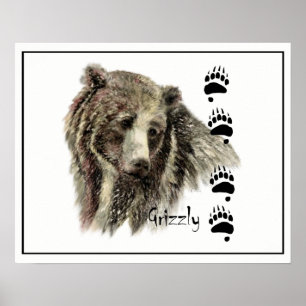 Aquareller Grizzly Bär Art Poster