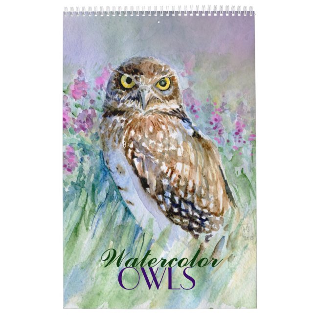 Aquarelleulen-Malereikalender Kalender (Titelbild)