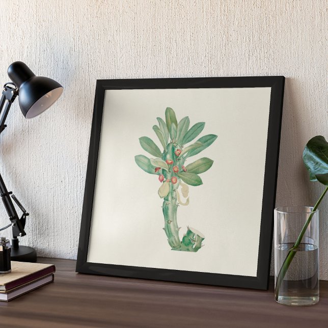 Aquarellfarben Antikes botanisches Plakat (Watercolor Antique Botanical Cactus Print Poster)