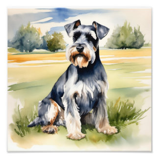 Aquarellfarben Miniatur Schnauzer - Hunde Kunst dr Fotodruck