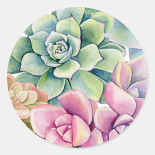 Aquarellfarben Sukkulationen Bouquet Sommer Runder Aufkleber