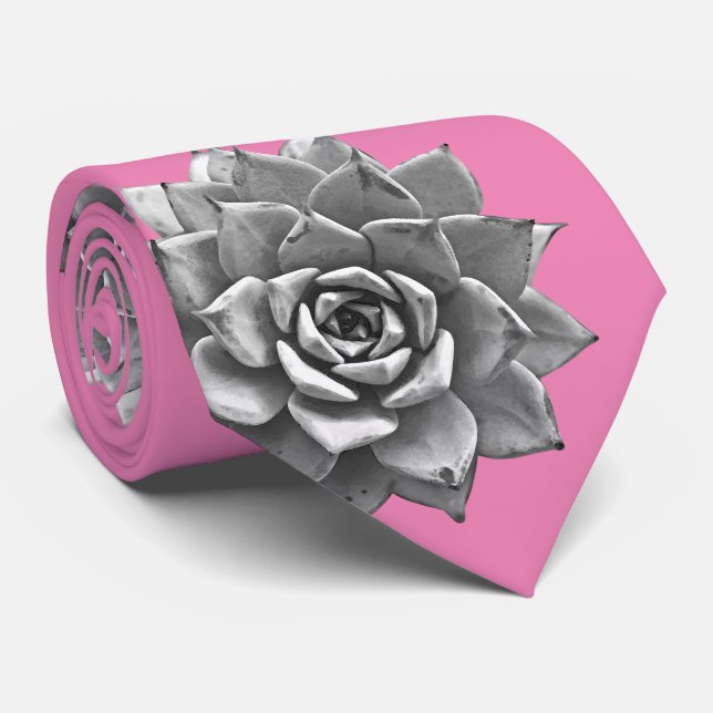 Aquarellfarben Sukkulente Grau auf Rosa Krawatte (Gerollt)