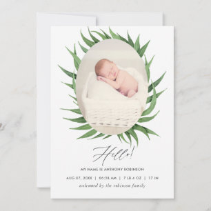 Aquarellfarben-Sukkuline Geburtsankündigung Foto-K Ankündigung