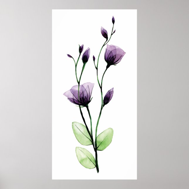 Aquarellfarbene, durchsichtige Blume der wilden Ro Poster (Vorne)