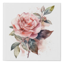 Aquarellfarbene Rose