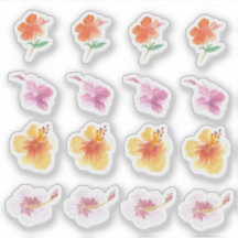 Aquarellfarbener Hibiskus Farbige Floralfarben Han