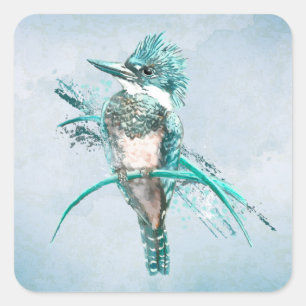 Aquarellfarbener Kingfisher Bird Animal Square Quadratischer Aufkleber