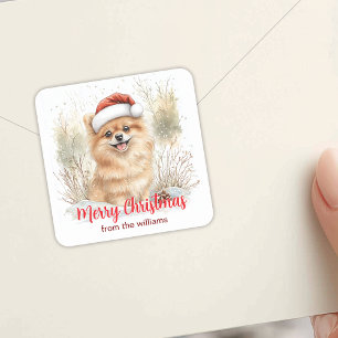 Aquarellfarbener Spitz in Weihnachtsmannmütze Froh Quadratischer Aufkleber
