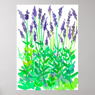 Aquarellgarten Lavendel Poster