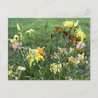 Aquarellgarten Postkarte