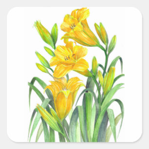 Aquarellgelber Tag Lilies Blumenbilder Quadratischer Aufkleber