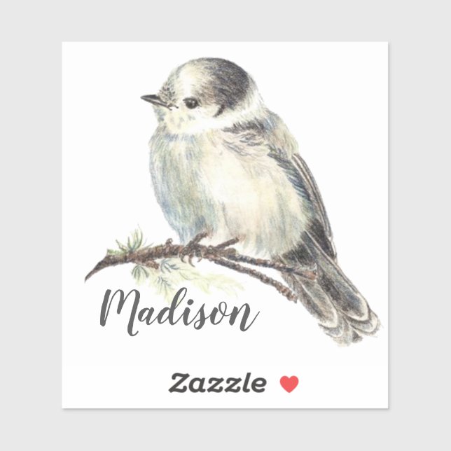 Aquarellgraue Jay Bird Nature Individuelle Name Aufkleber (Blatt)