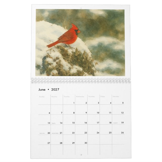 Aquarellkardinale 2026 kalender (Jun 2027)