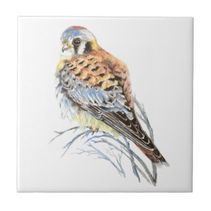 Aquarellkestrel-Spatzen-Falke-Vogel-Tier-Kunst Fliese