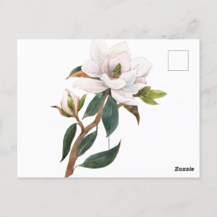 Aquarellmagnolia-Blume Postkarte