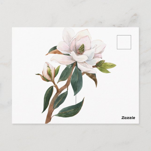 Aquarellmagnolia-Blume Postkarte (Rückseite)