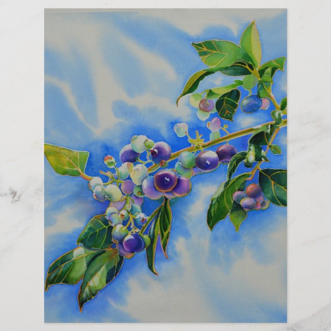 Aquarellmalerei auf Blaubeere (Vorderseite)