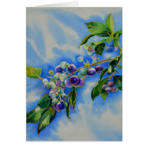 Aquarellmalerei auf Blaubeere