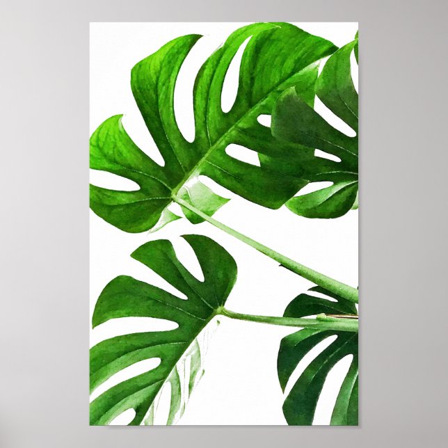 Aquarellmalerei auf Monstera-Blätter #5 Poster (Vorne)