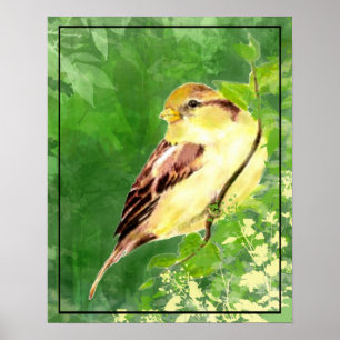 Aquarellmalerei auf Sparrow Bird in Tree Poster